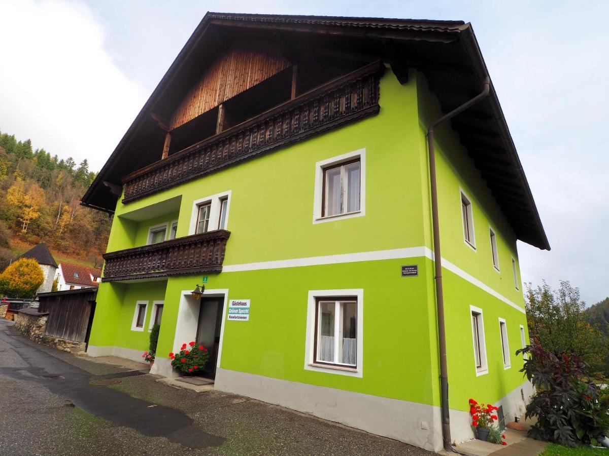 Gasthof Zum Gruenen Specht Oberzeiring 外观 照片